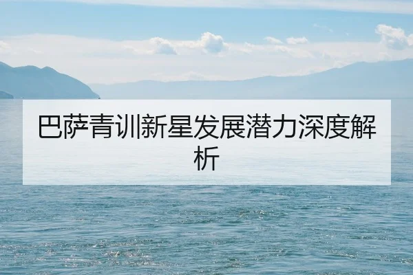 ba-sa-qing-xun-xin-xing-fa-zhan-qian-li-shen-du-jie-xi-2-166.jpg